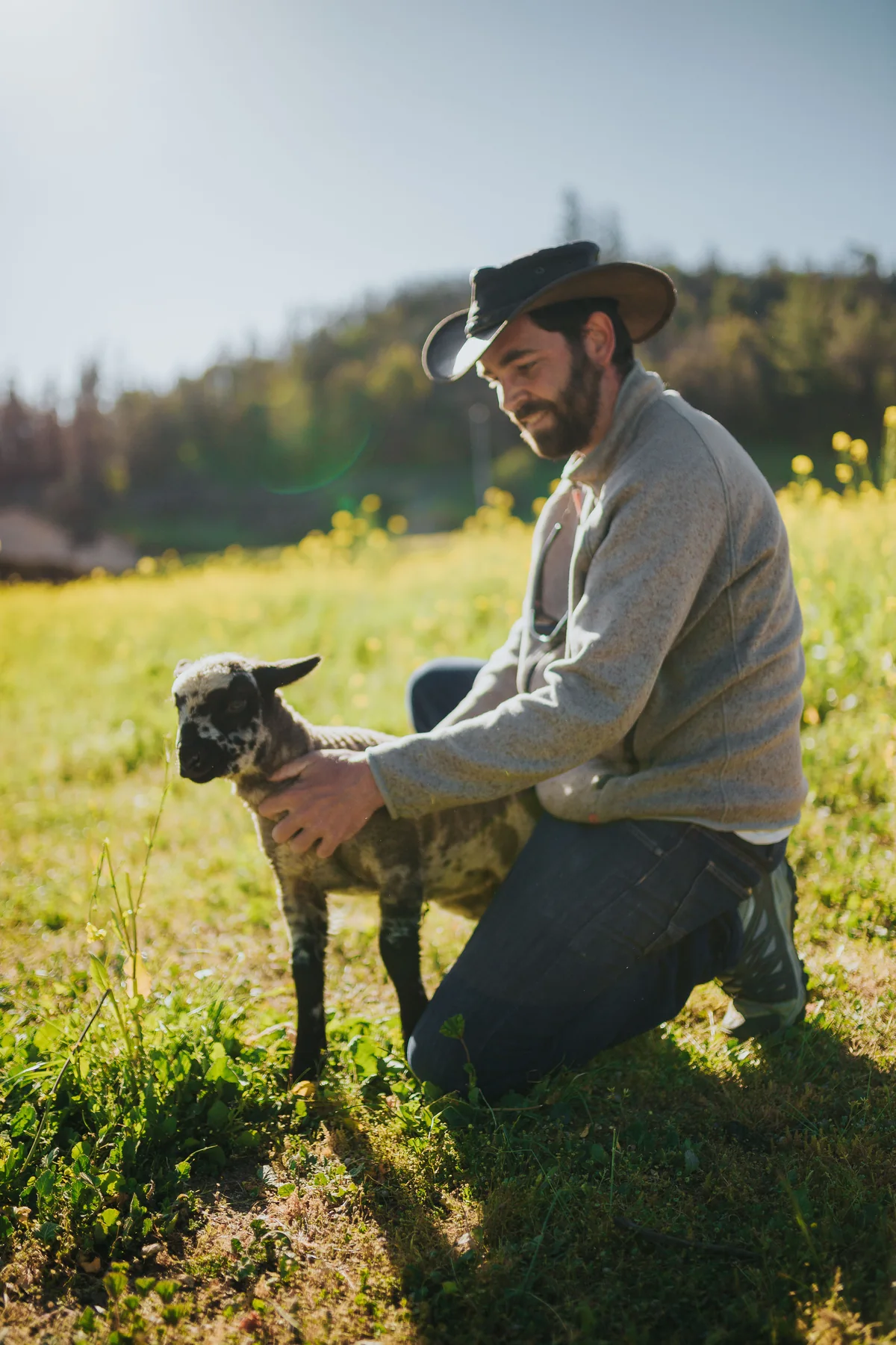 Experiencia de campo con animales en Pitama
